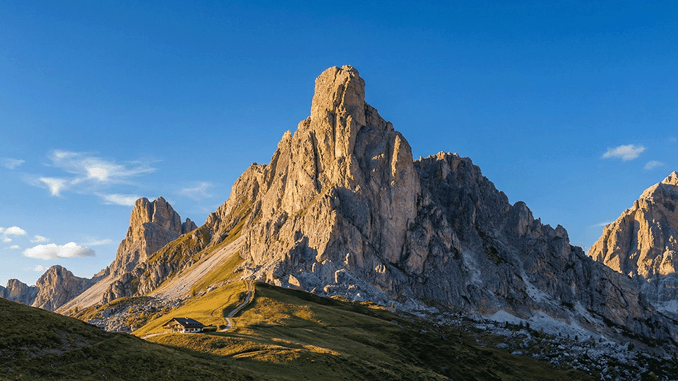 Operational Excellence